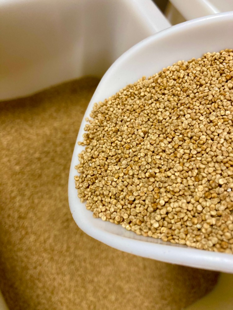 [Nouveauté] Du quinoa breton* au Buzuk&nbsp;Ver