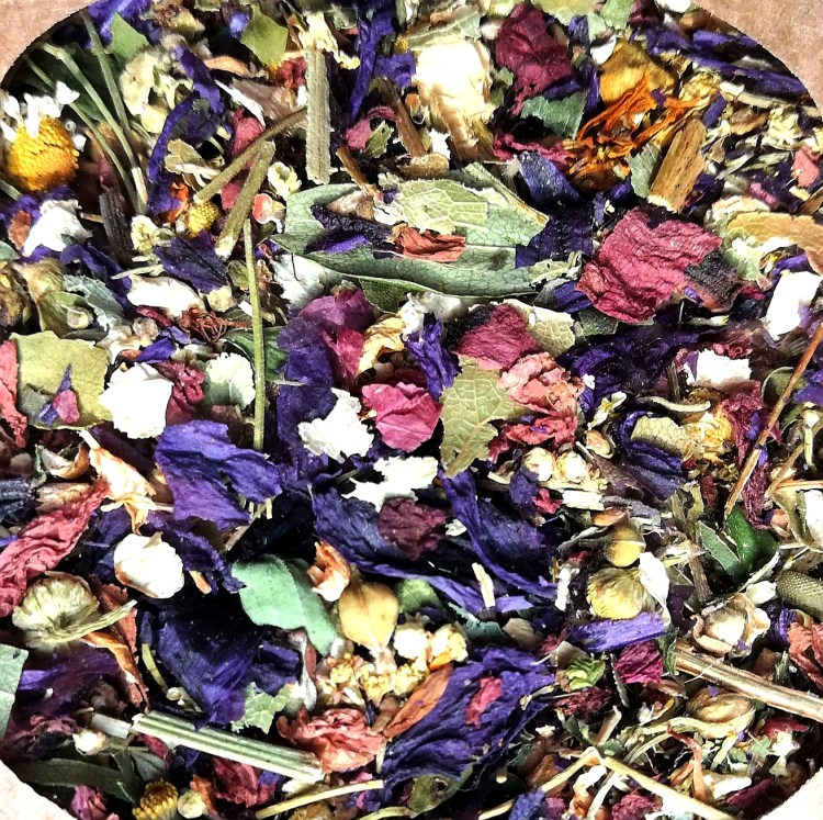 [Portrait de producteurs N°1] Fabienne, la fée des plantes&nbsp;!