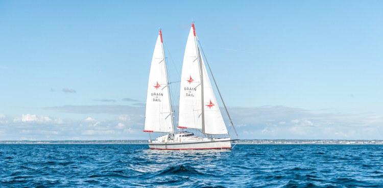 [Portrait de producteurs N°4] Grain de&nbsp;Sail