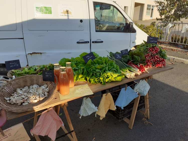 [Portrait de producteurs N°7] Le Champs des 3&nbsp;chouettes